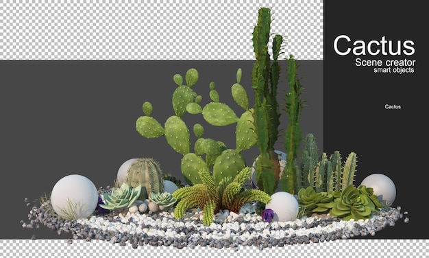 PSD representación 3d de varios tipos de arreglos de cactus.