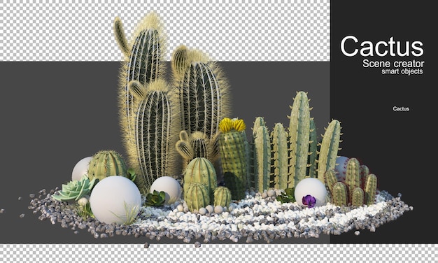 PSD representación 3d de varios tipos de arreglos de cactus.