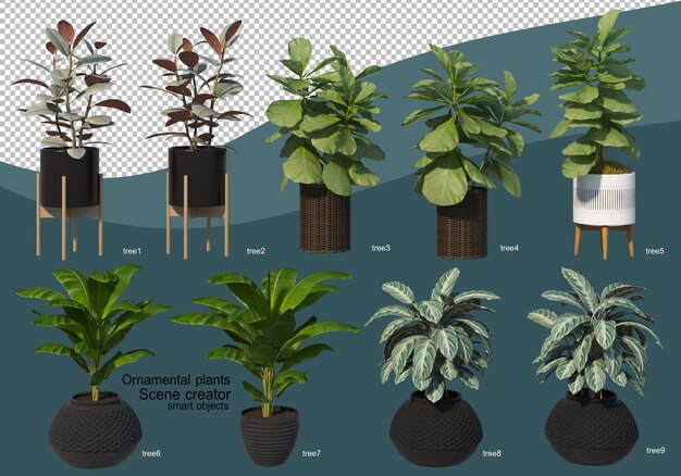 Representación 3D de varios tipos de arreglos ornamentales