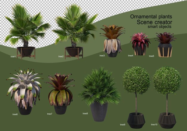 Representación 3D de varios tipos de arreglos ornamentales