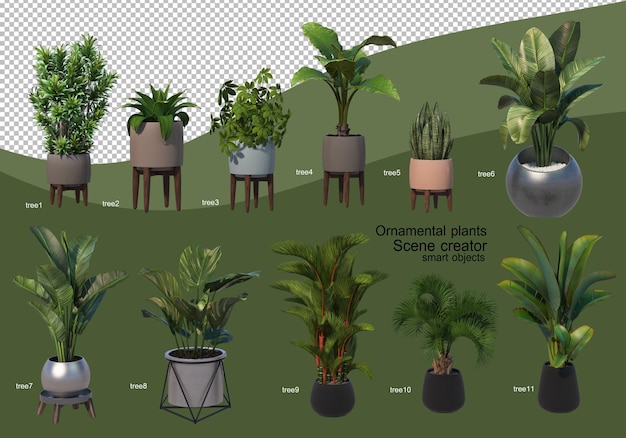 Representación 3D de varios tipos de arreglos ornamentales
