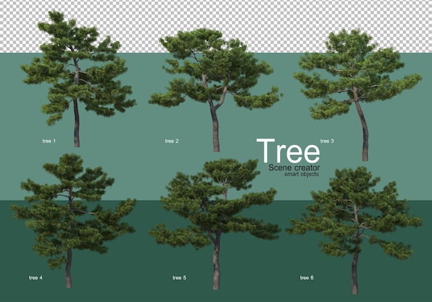 Representación 3D, varios tipos de diseños de árboles.