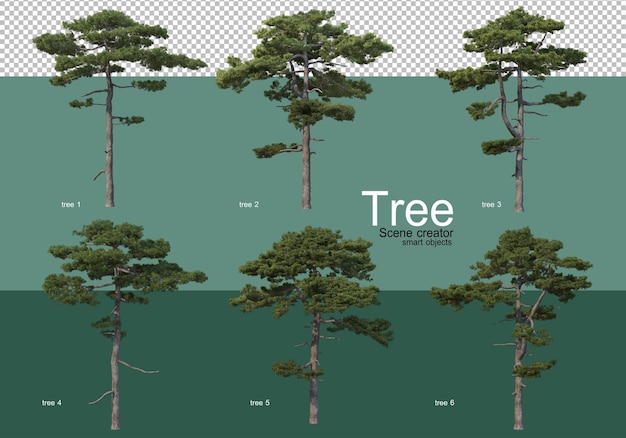 Representación 3d, varios tipos de diseños de árboles.