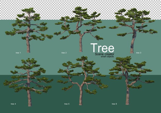 Representación 3d, varios tipos de diseños de árboles.