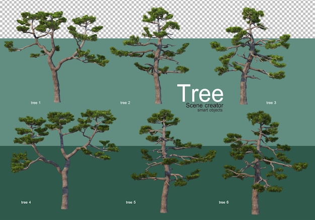 Representación 3d, varios tipos de diseños de árboles.