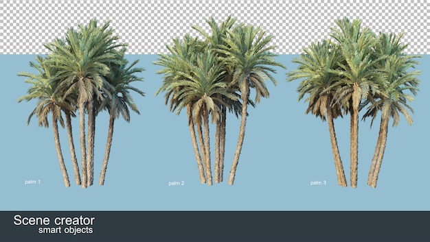 Representación 3d de varios tipos de palmeras.