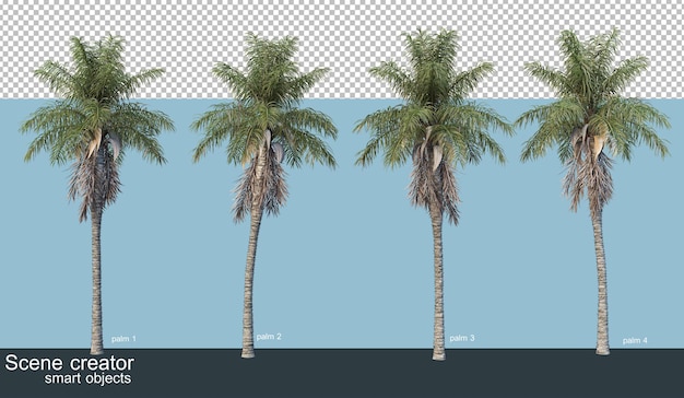 Representación 3D de varios tipos de palmeras.