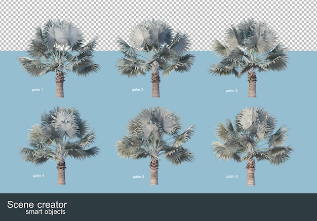 Representación 3d de varios tipos de palmeras.