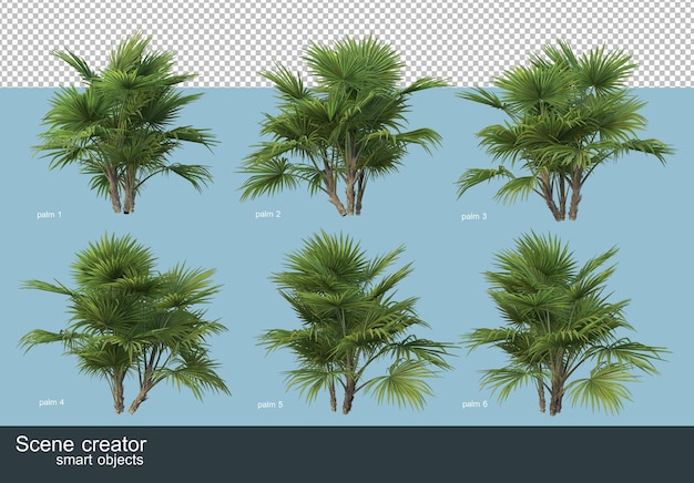 Representación 3D de varios tipos de palmeras.