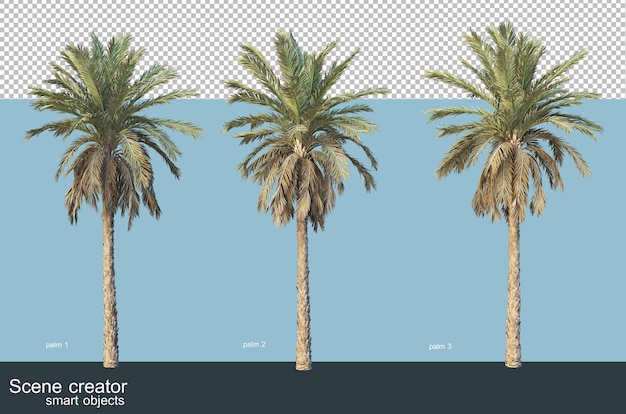 Representación 3d de varios tipos de palmeras.