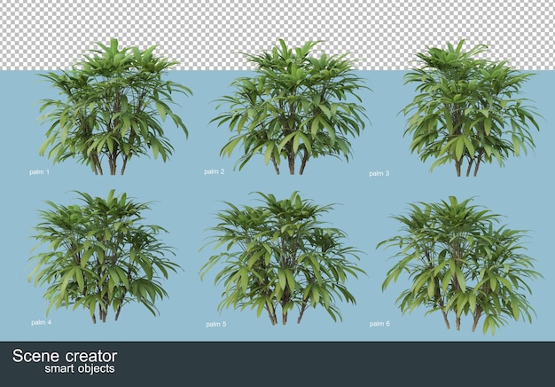 Representación 3D de varios tipos de palmeras.