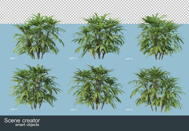 Representación 3d de varios tipos de palmeras.