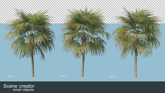 Representación 3D de varios tipos de palmeras.