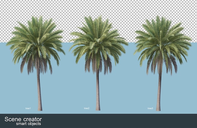 PSD representación 3d de varios tipos de palmeras.
