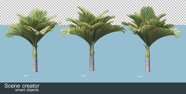 Representación 3D de varios tipos de palmeras.