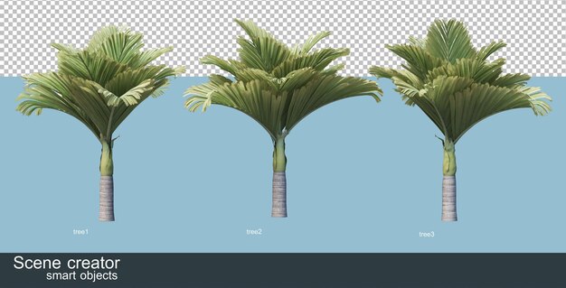 Representación 3d de varios tipos de palmeras.
