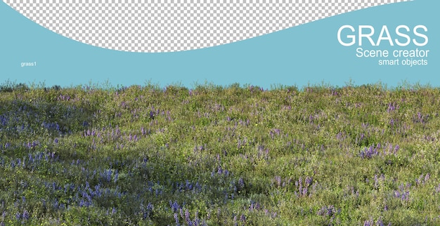 Representación 3D de varios tipos de pastizales