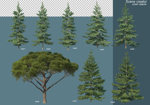 PSD representación 3d de varios tipos de pinos