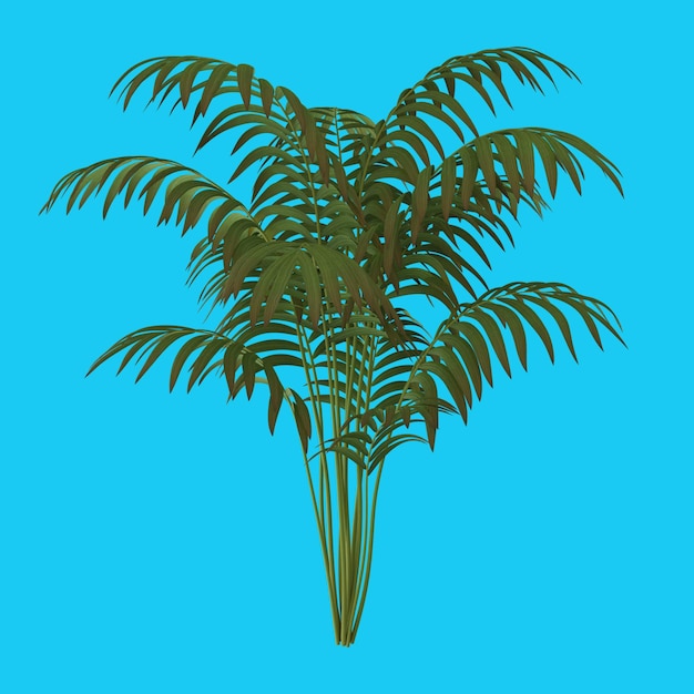 Representación 3d