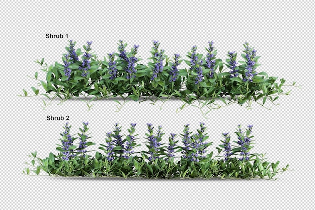 PSD representación aislada de árboles y flores tropicales