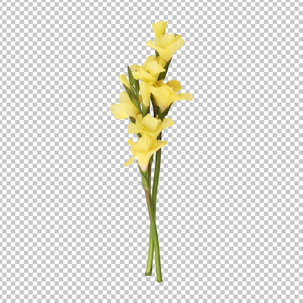 PSD representación aislada de tallo de flor de gladiolo amarillo