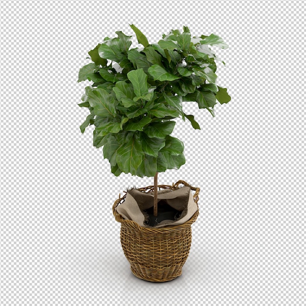 Representación isométrica planta 3d