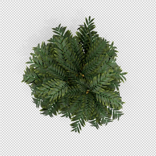 Representación isométrica planta 3d