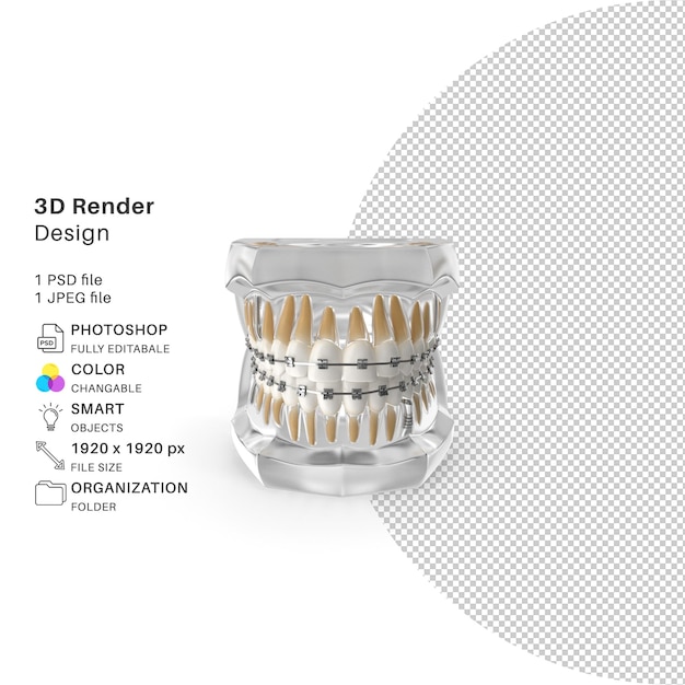 PSD retenedor de dientes realista dental 3d