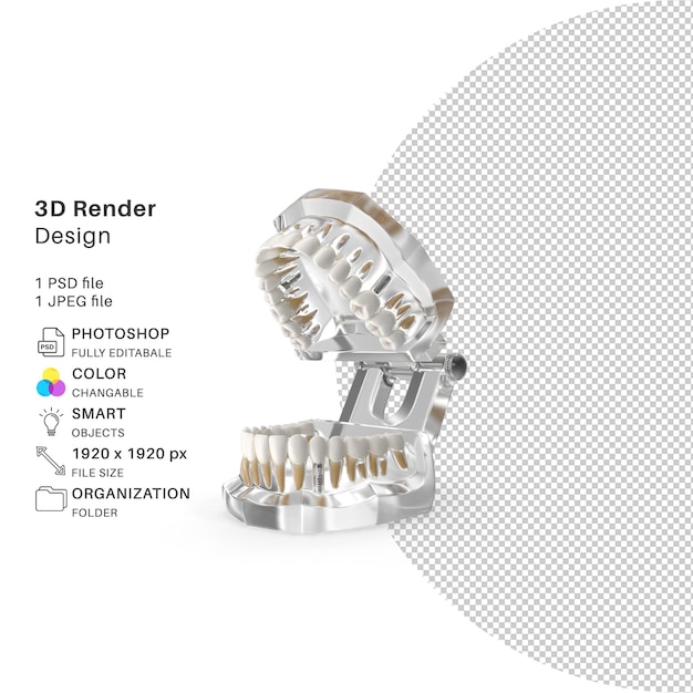 PSD retenedor de dientes realista dental 3d