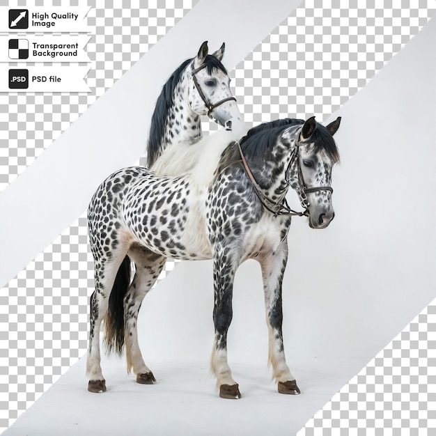 PSD retrato psd de caballo con manchas marrones en fondo transparente con capa de máscara editable