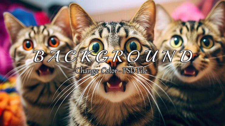 PSD retrato de tres gatos sorprendidos inteligencia artificial generativa