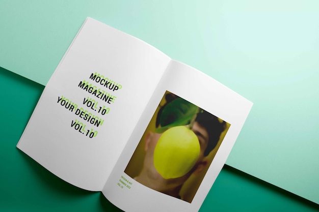 Revista en el modelo de estudio.