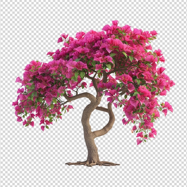 PSD rhododendron arbre rouge png