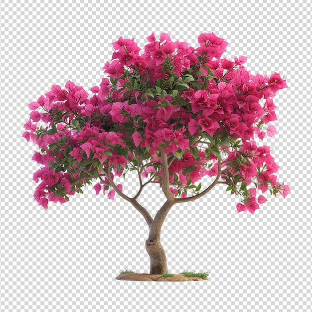PSD rhododendron roter baum png