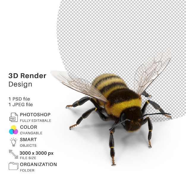 Right_Side_Bumblebee