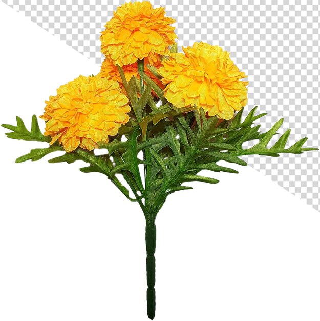 PSD ringelblumenblume png