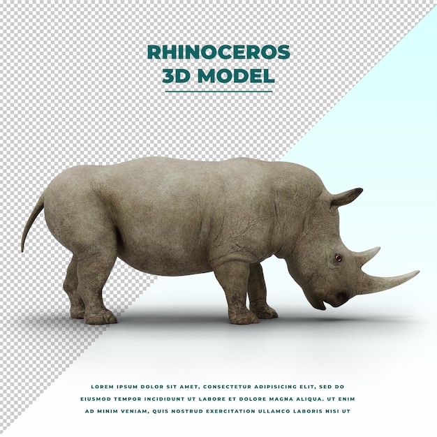 Rinoceronte aislado