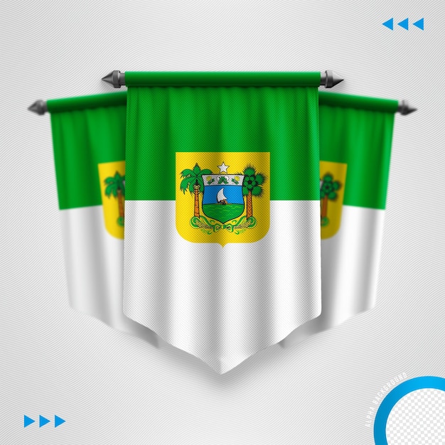 PSD rio grande do norte drapeau d'état brésilien