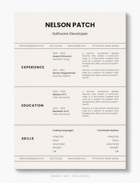 Riprendi lo sviluppatore di software CV modello PSD professionale