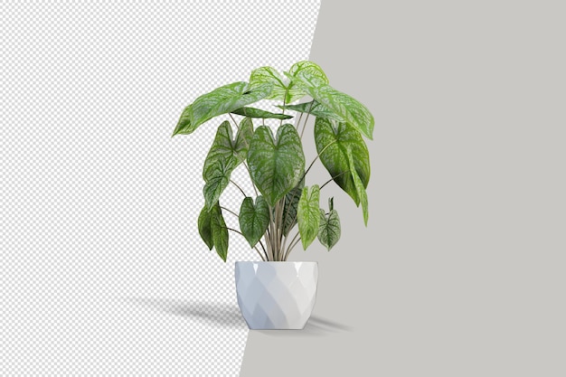 risorsa isolata mockup di piante