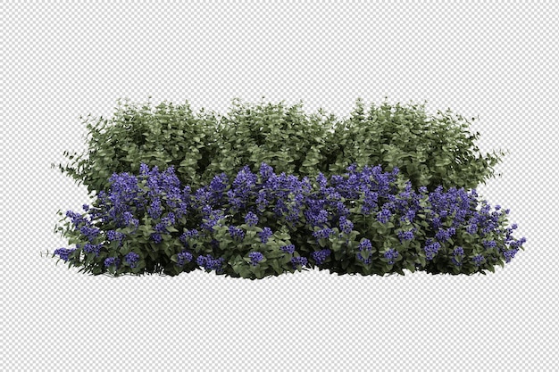 Ritaglia la felce nel rendering 3d