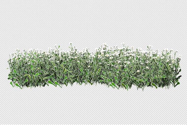 Ritaglia la felce nel rendering 3d