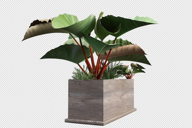 Ritaglia la felce nel rendering 3d