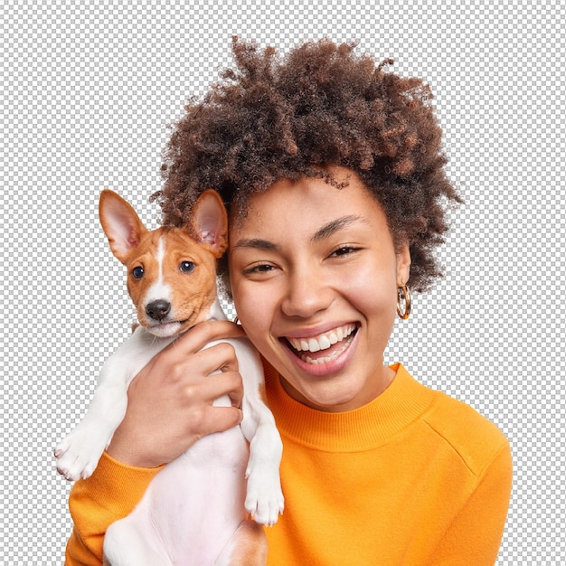Ritratto di una bella donna afroamericana allegra che gode della compagnia di un piccolo cane di pedigree indossa un maglione arancione passa il tempo libero con l'animale domestico preferito isolato sopra un muro bianco il proprietario dell'animale