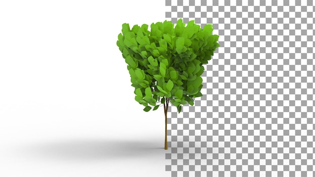 Roble albar con sombra 3D Render