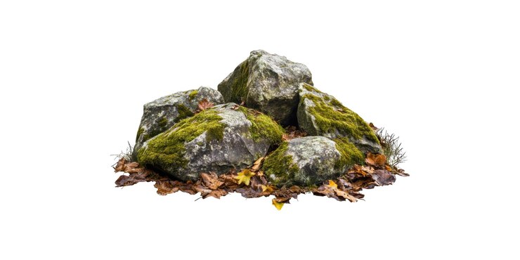 PSD rocas cubiertas de musgo rodeadas de hojas de otoño aisladas en un fondo transparente