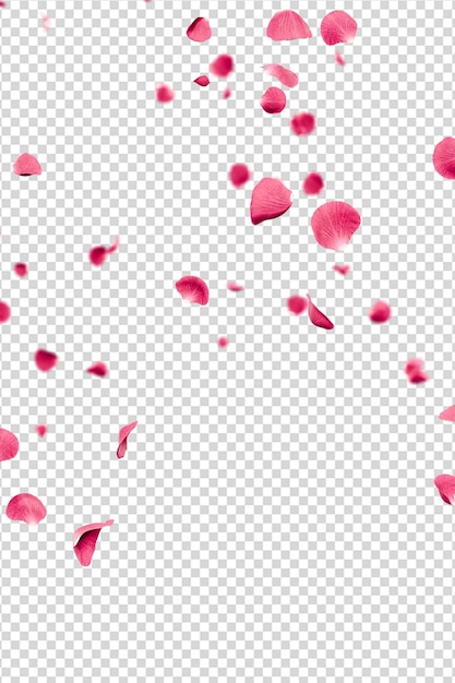 Rosa Blütenblätter fallen überlagert 3D-Rendering