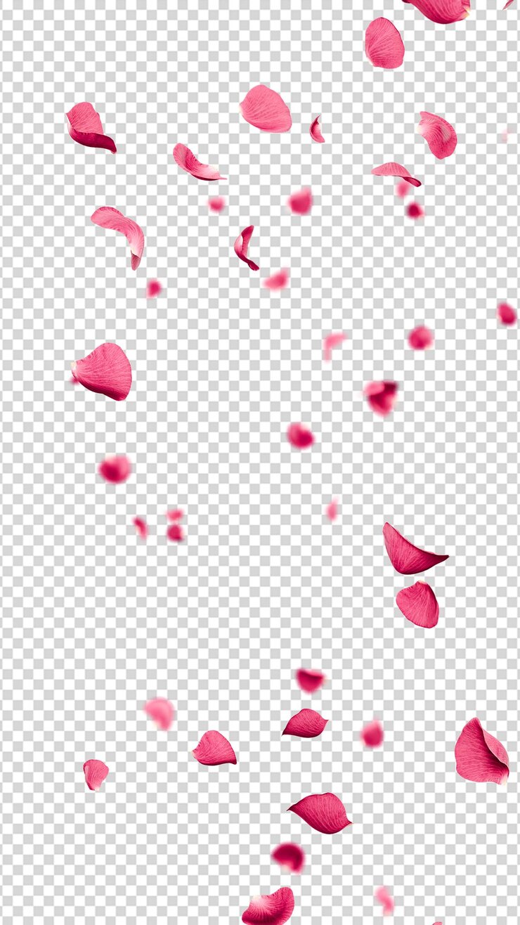 PSD rosa blütenblätter fallen überlagert 3d-rendering