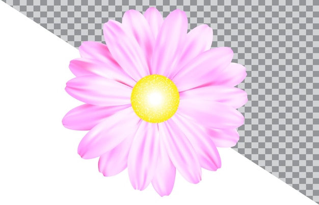 Rosa Blume auf transparentem Hintergrund