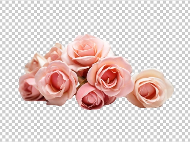 PSD rosa rosa em png